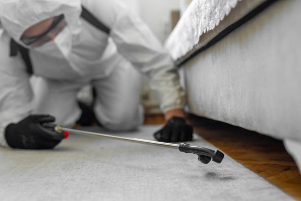 Professional Bed Bug Control technician working in Webster County County, NE